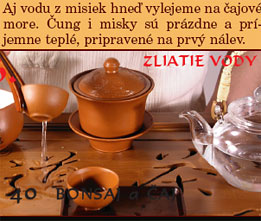 Fotočlánok - Tajomné čínske čungy (Zhong) - Čajovňa dobrých ľudí - magazín Bonsaj a čaj č. 2