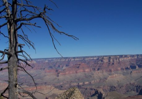 Grand Canyon 3