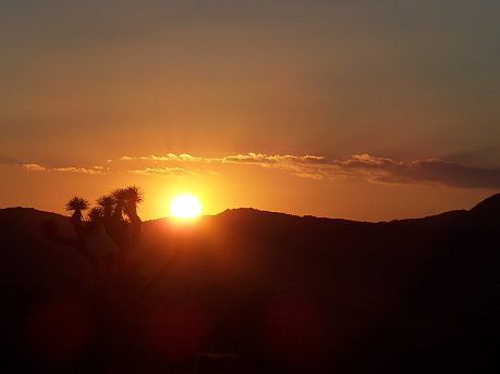 Národný park Joshua Tree 9